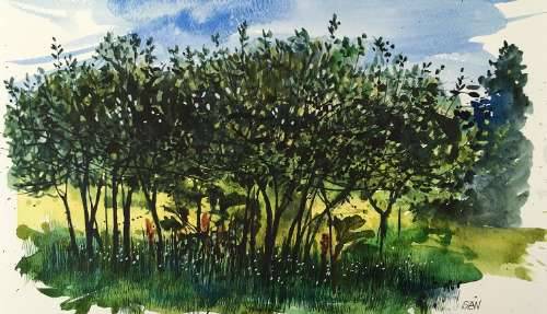 Evening Light Through Trees - Sarah Wimperis