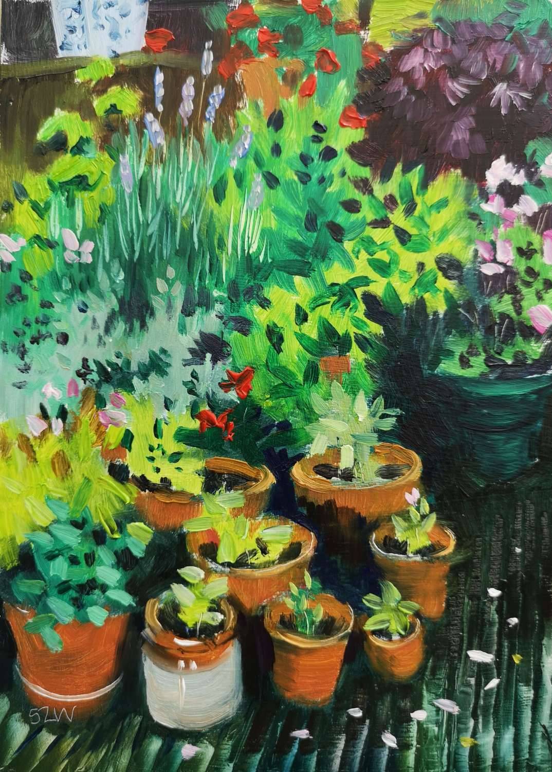 Pots and Petals - Sarah Wimperis