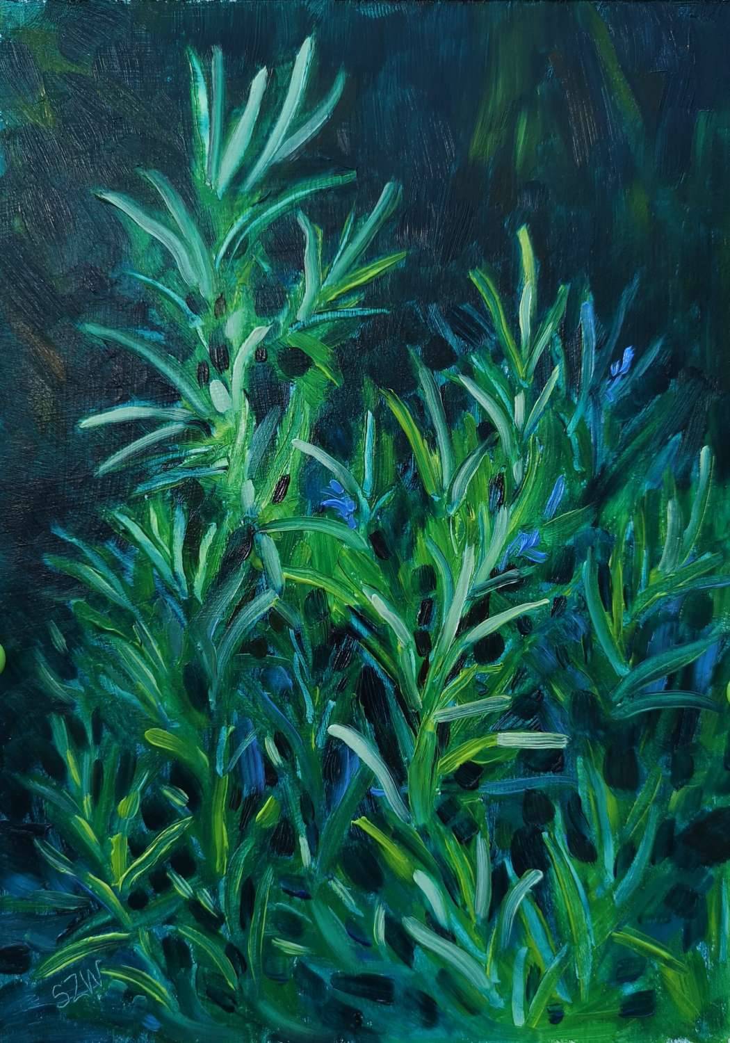 Rosemary for Remembrance 24th June 2020 - Sarah Wimperis