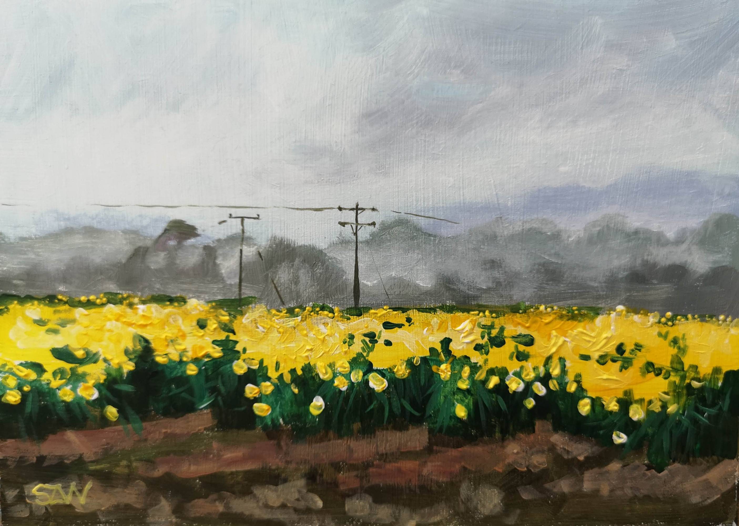 Spring St David's Day - Sarah Wimperis