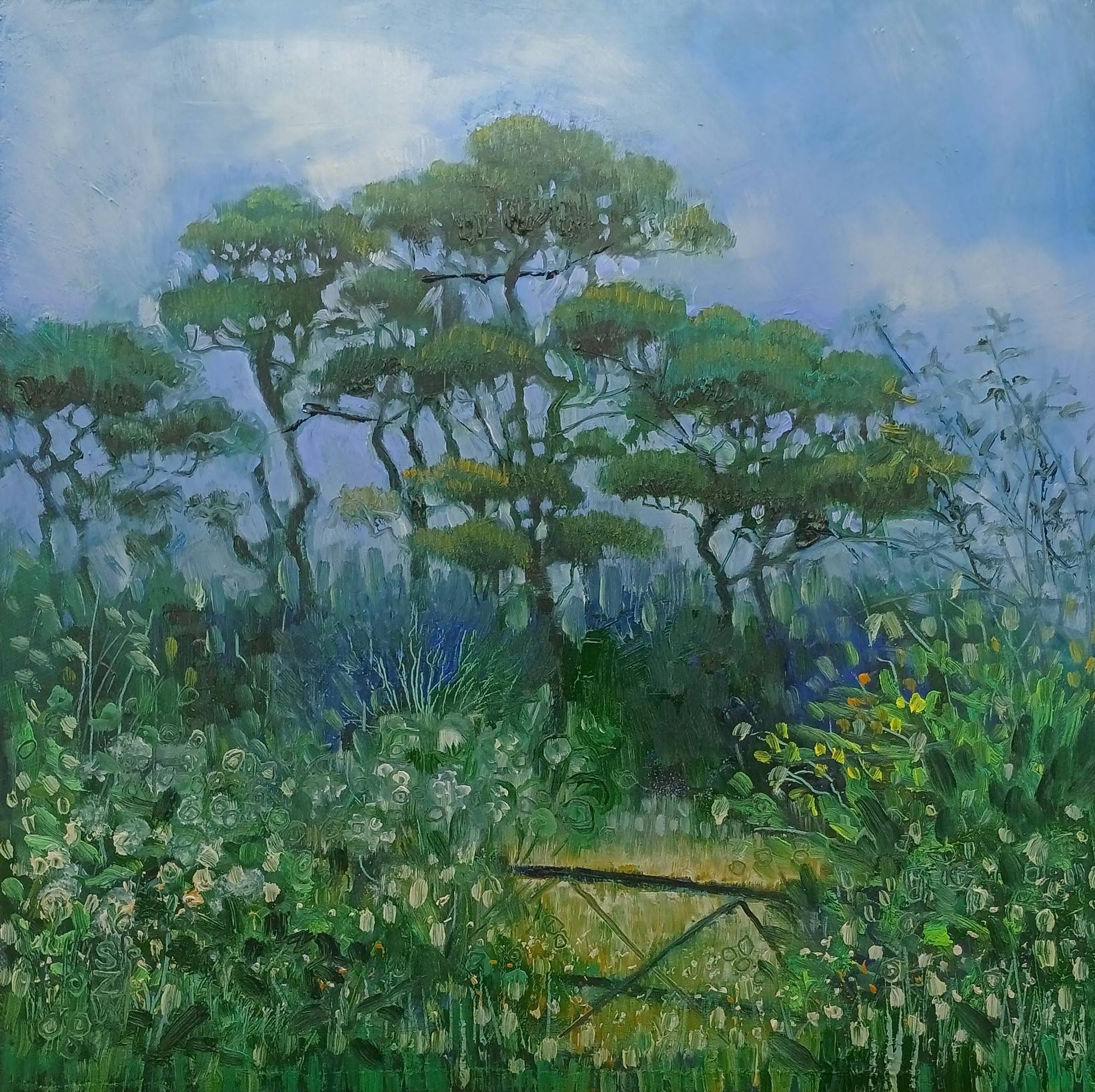 Misty Pines - Sarah Wimperis