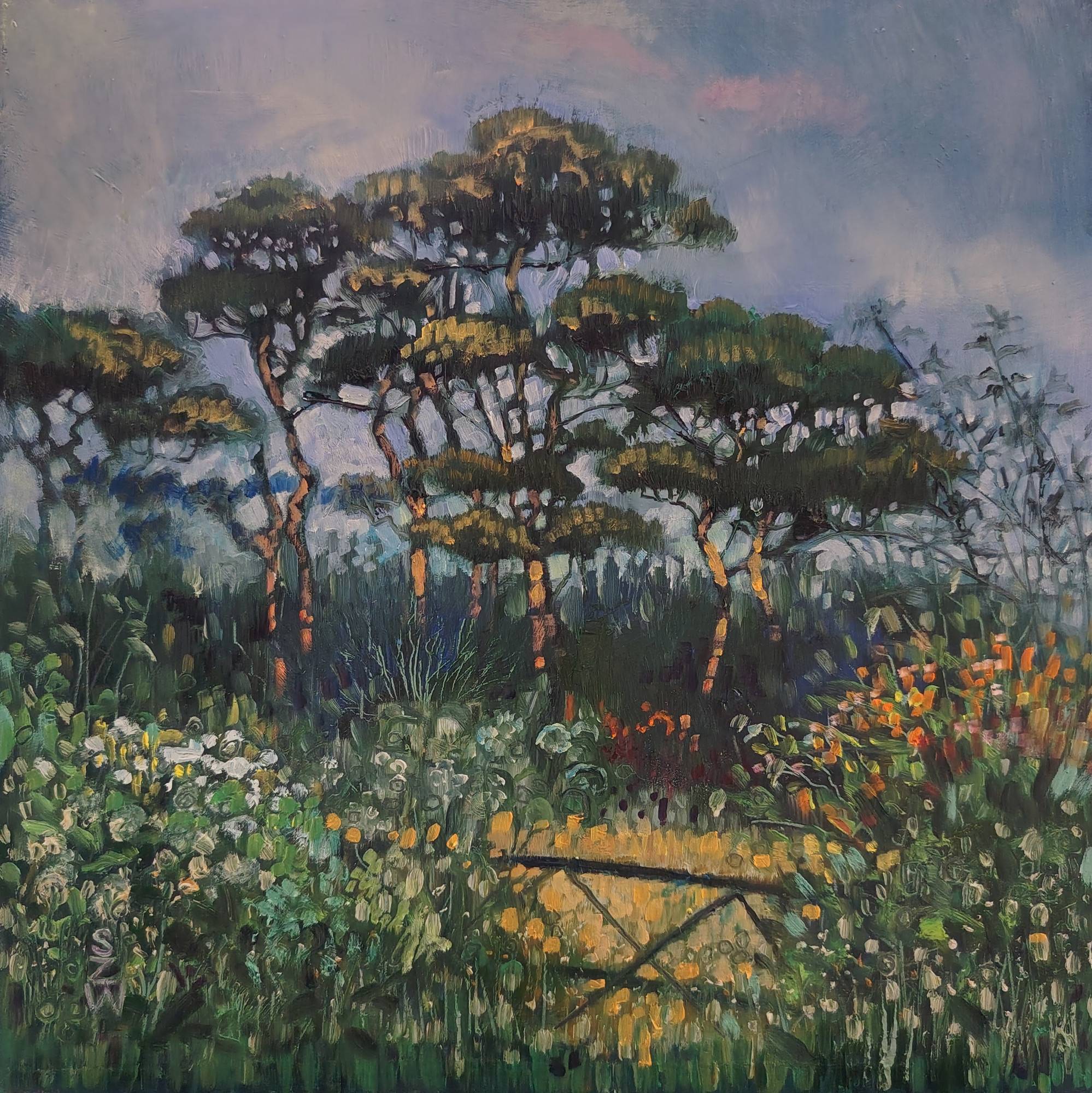 Morning Pines - Sarah Wimperis