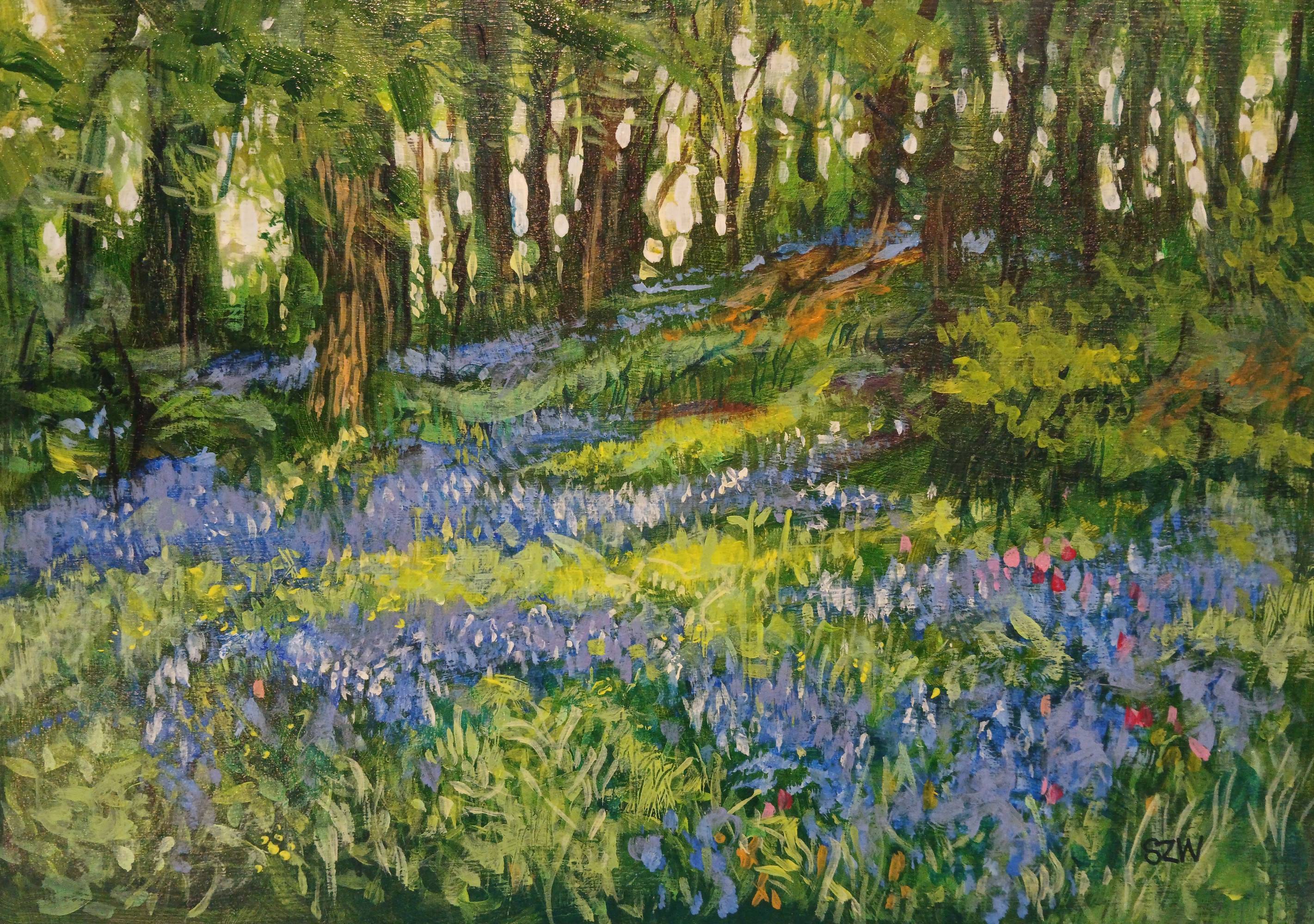 Helford Bluebells - Sarah Wimperis