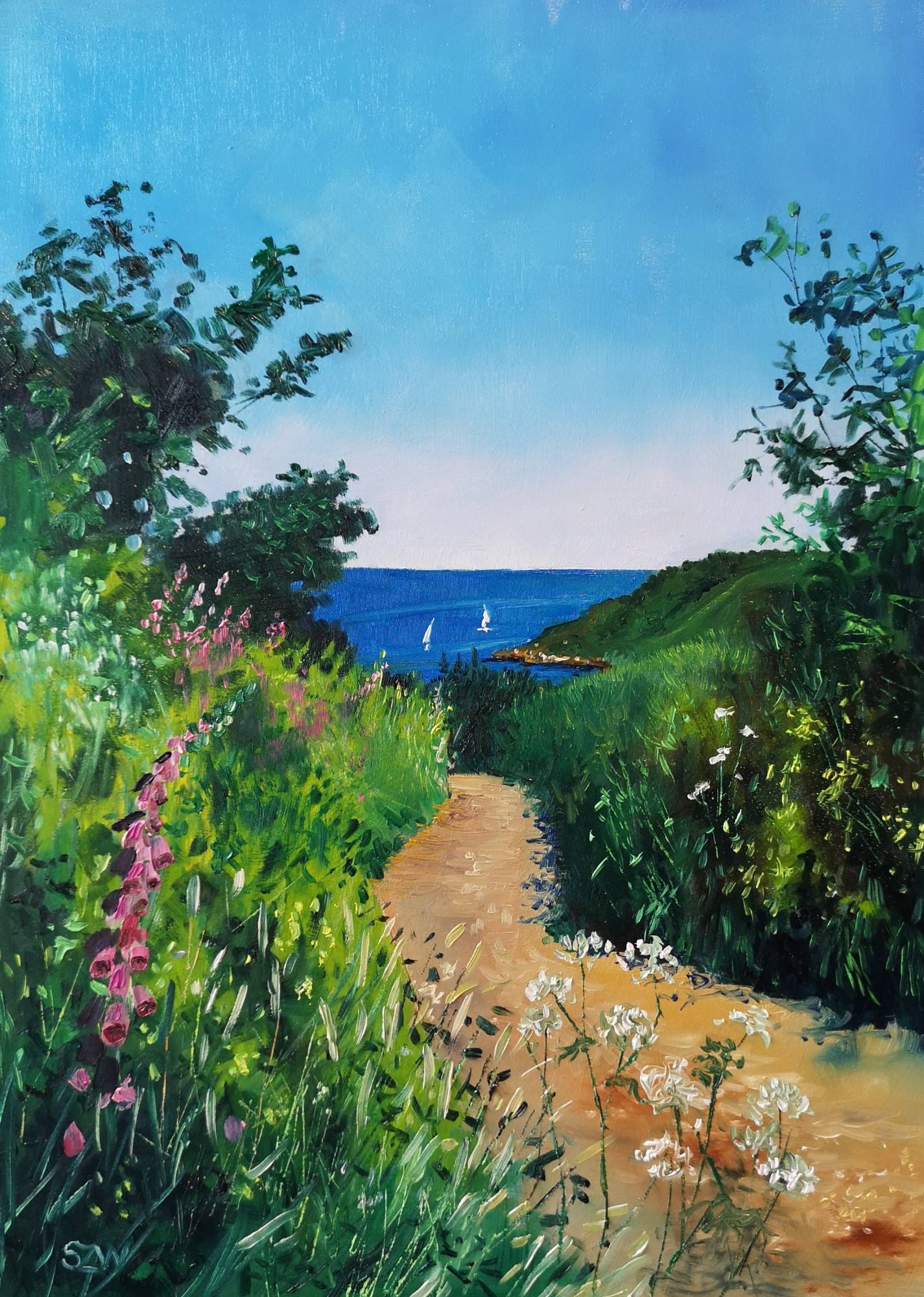 Summer in Cornwall - Sarah Wimperis