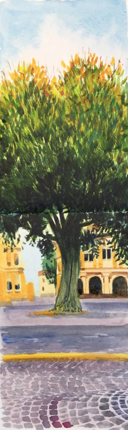 Bologna Sketchbook - Sarah Wimperis