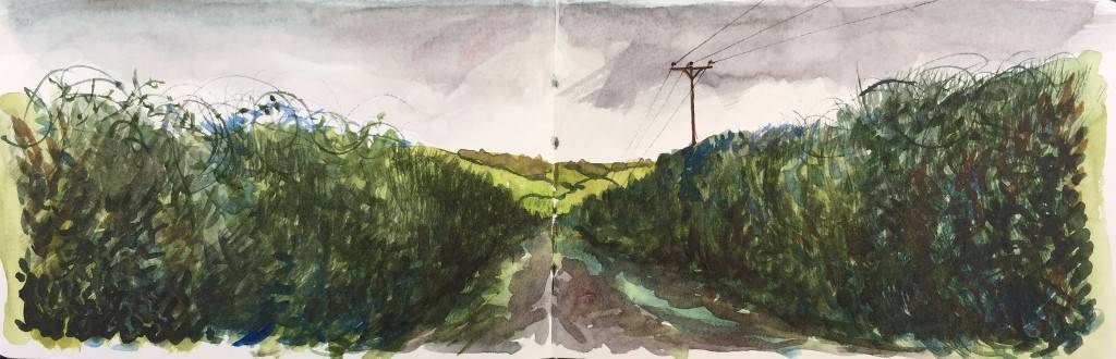 A Cornish Winter sketchbook - Sarah Wimperis