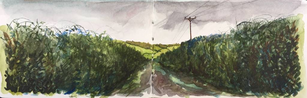 A Cornish Winter sketchbook - Sarah Wimperis