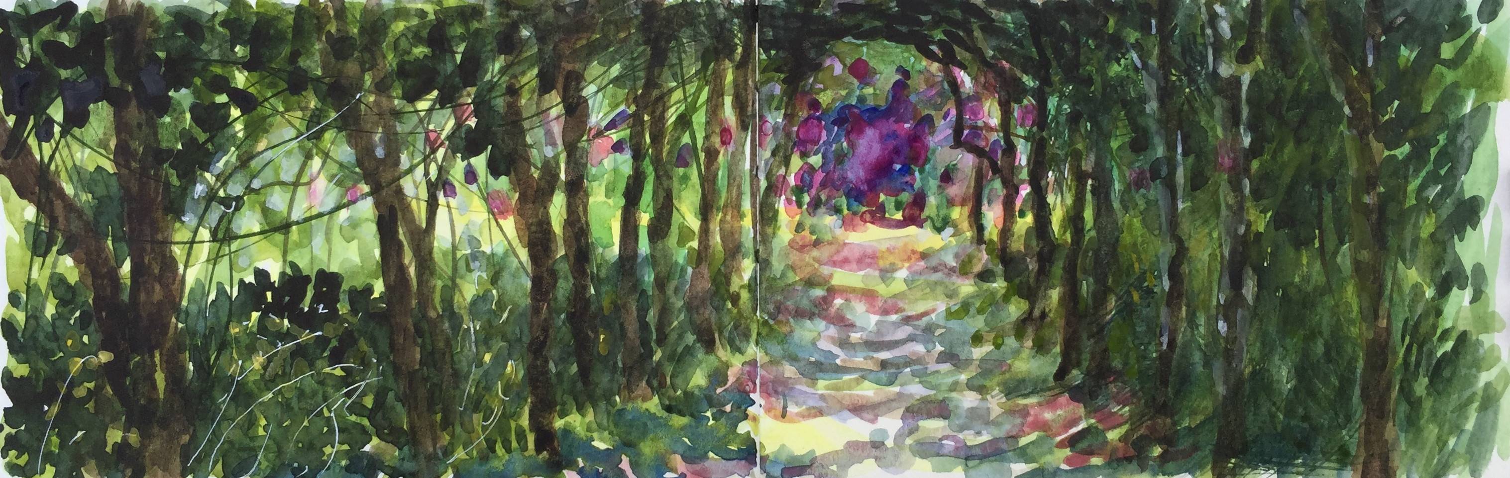 A Garden Sketchbook - Sarah Wimperis