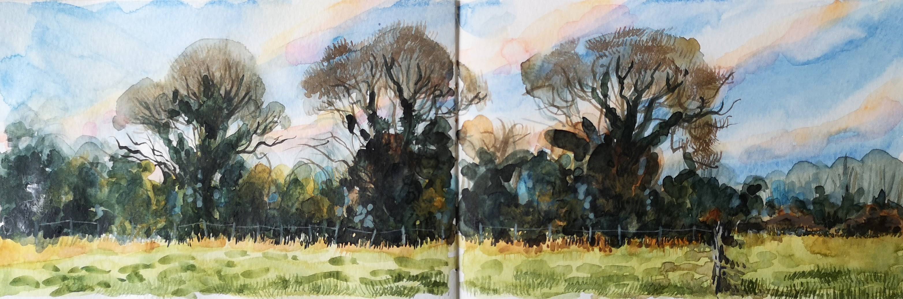 A Cotswold Sketchbook - Sarah Wimperis