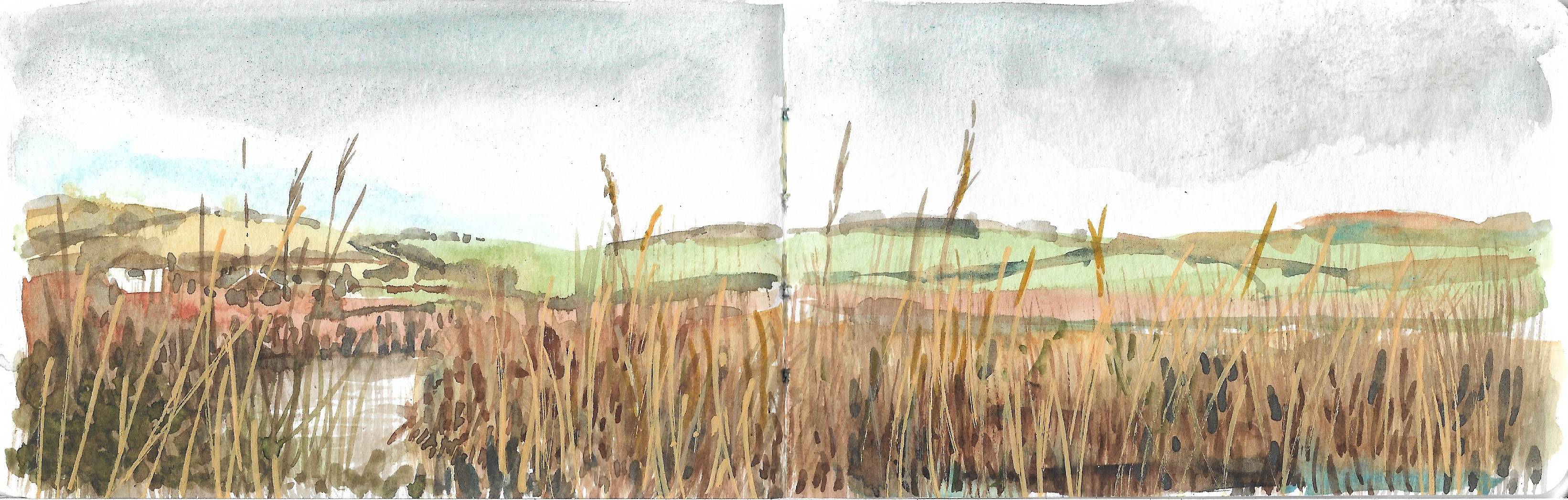Woven Waters, Cornwall Sketchbook - Sarah Wimperis