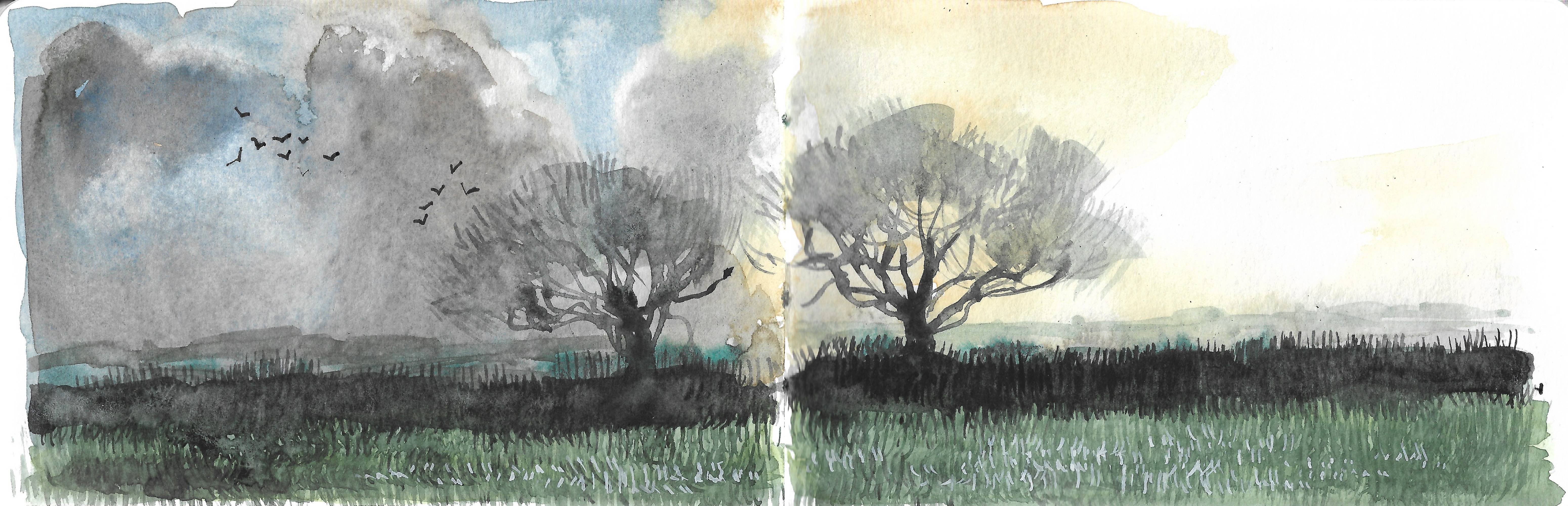 Woven Waters, Cornwall Sketchbook - Sarah Wimperis