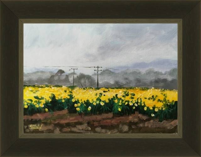 Spring St David's Day - Sarah Wimperis