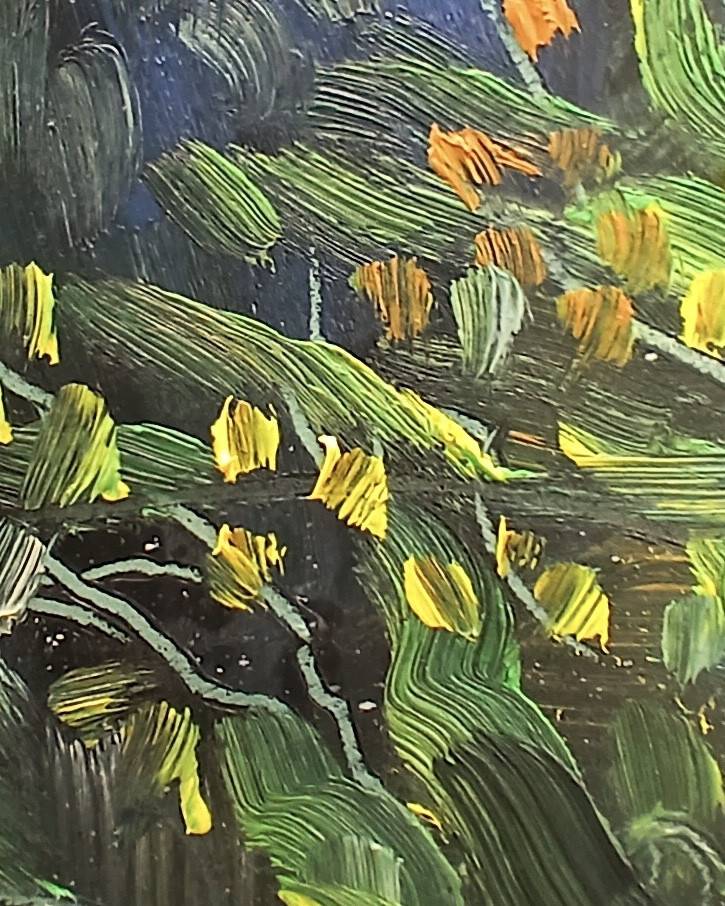 Morning Pines - Sarah Wimperis