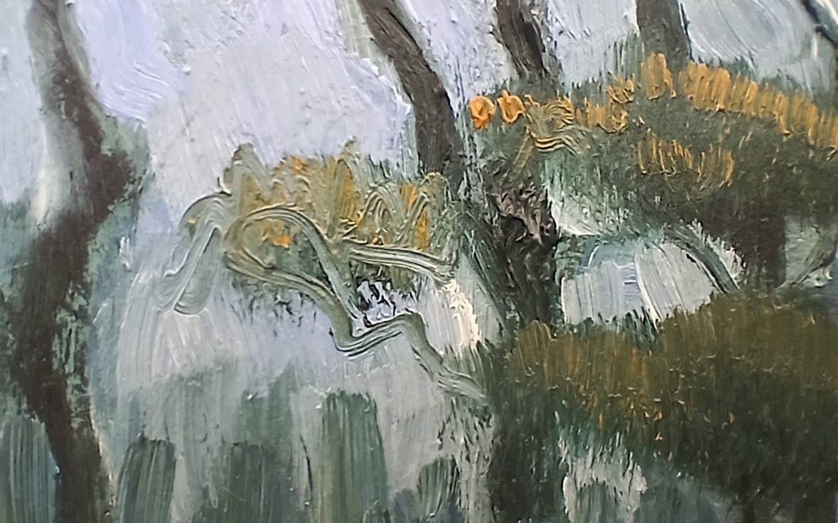 Morning Pines - Sarah Wimperis