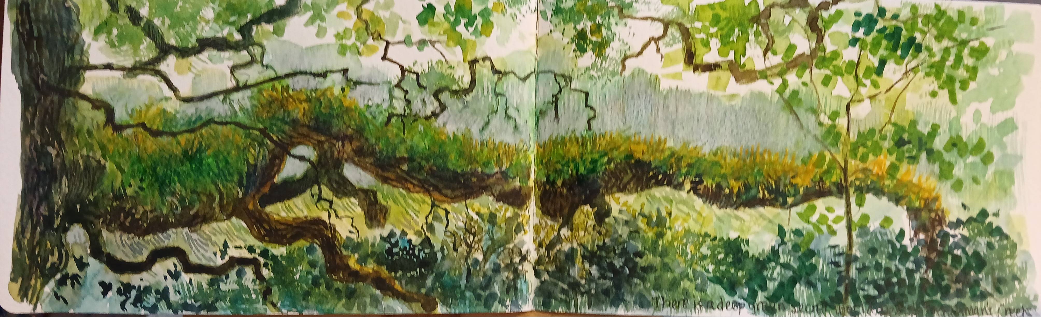 Helford River Seasons Sketchbook - Sarah Wimperis