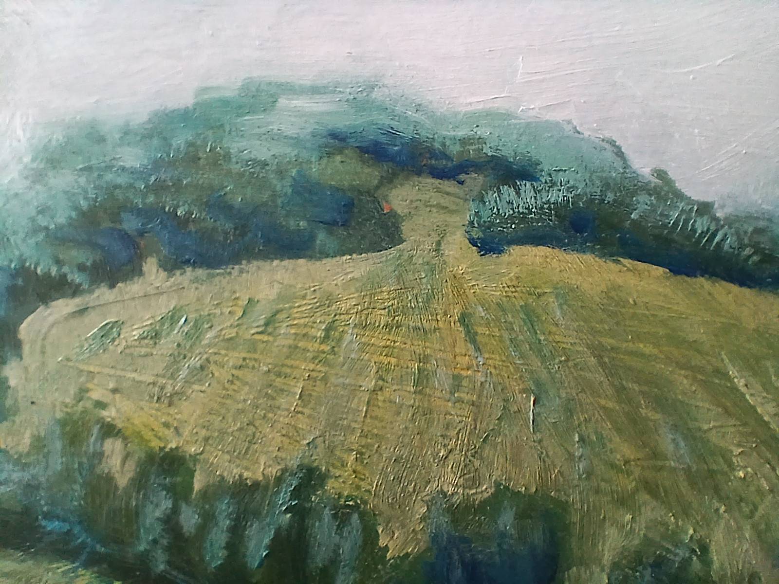 Meadow and Headland - Sarah Wimperis