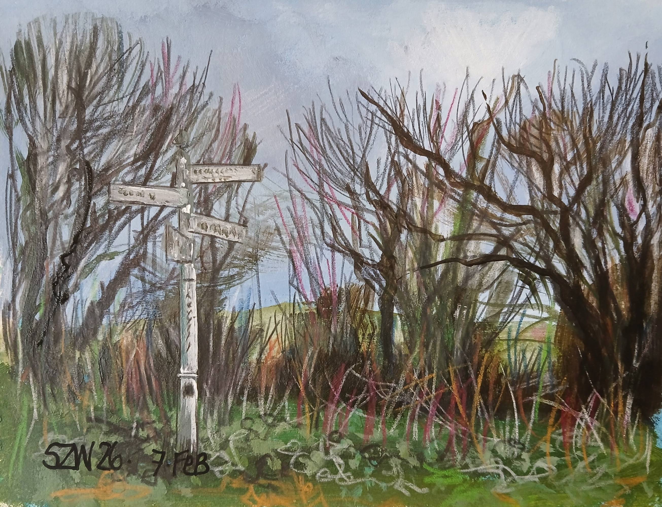 This Year: February - Sarah Wimperis