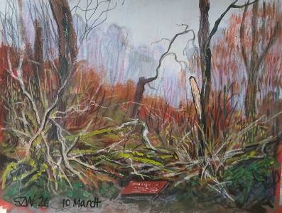 This Year: March - Sarah Wimperis