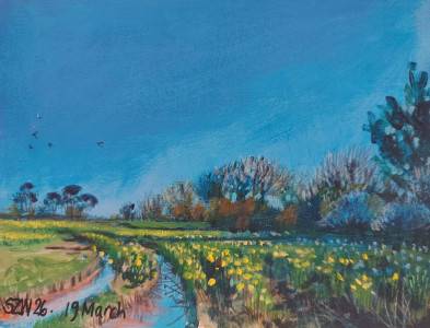 This Year: March - Sarah Wimperis
