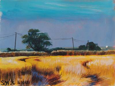 This Year: July - Sarah Wimperis