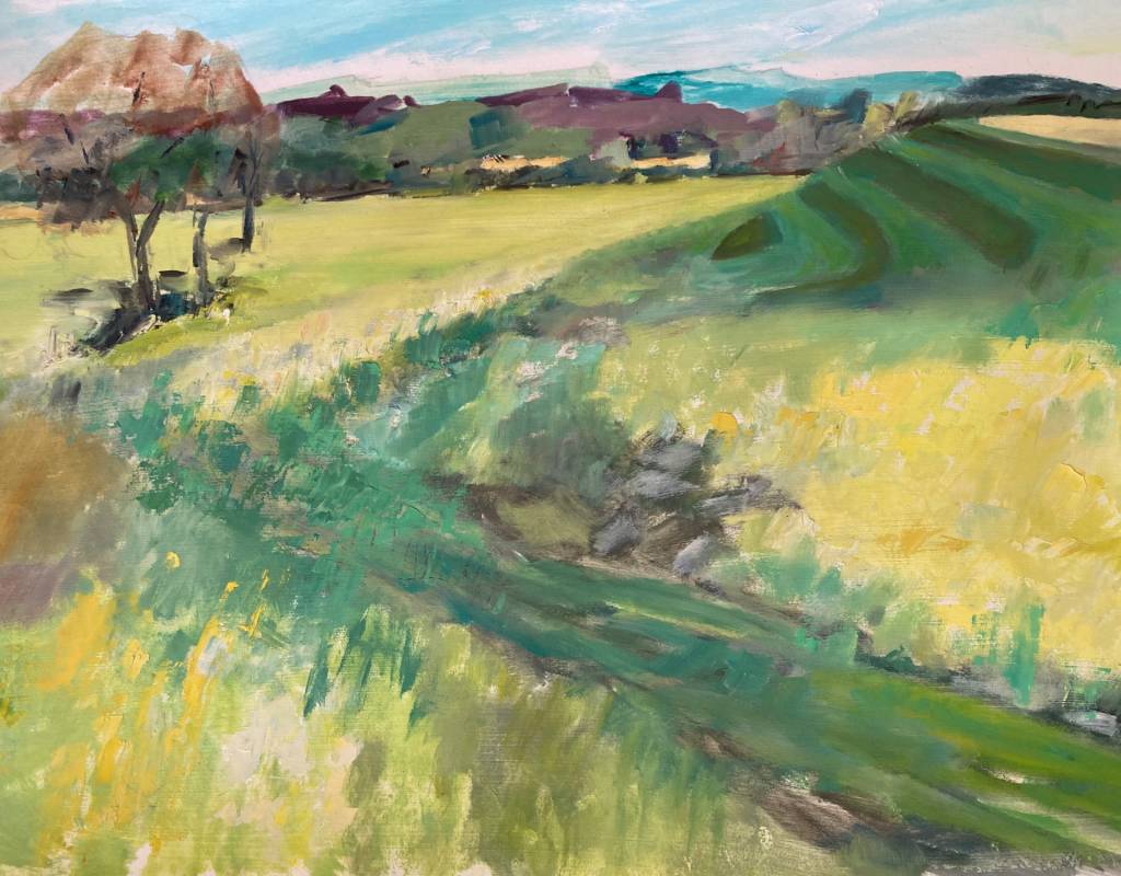 Knowle Park - The Fields - 