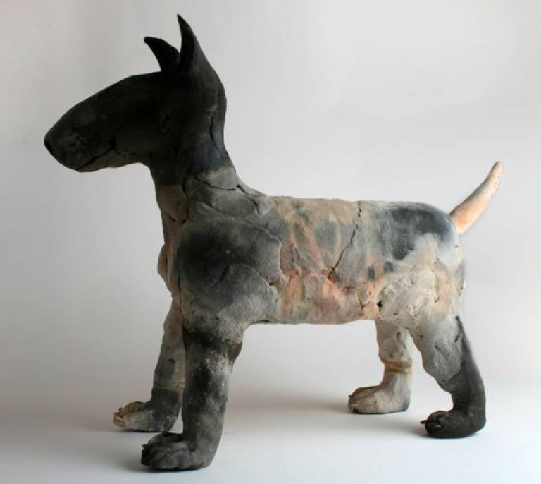 Pit Dog - Morag MacInnes