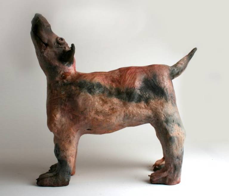 Eager Dog - Morag MacInnes