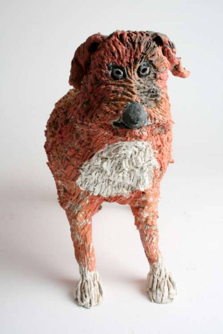 Terrier - Morag MacInnes