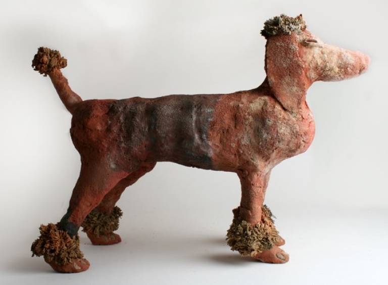 Poodle - Morag MacInnes