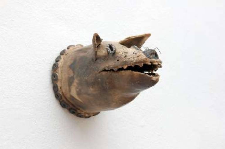 Dog head - Morag MacInnes