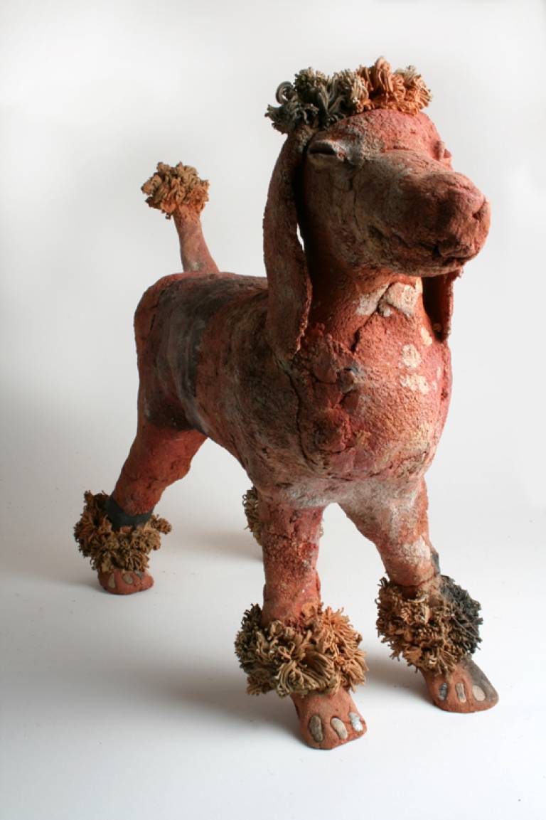 Poodle - Morag MacInnes