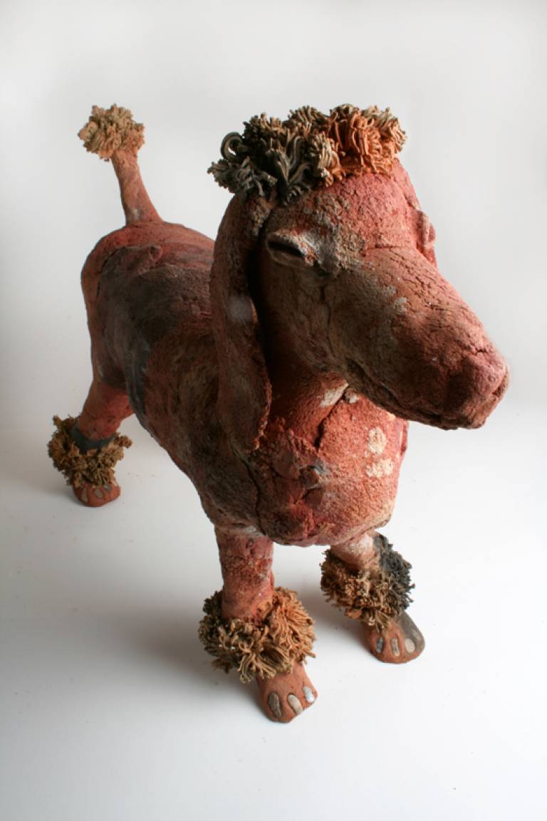 Poodle - Morag MacInnes