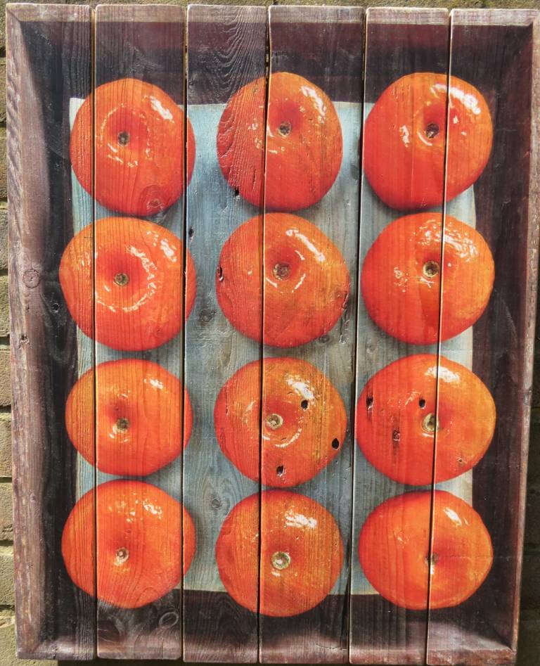 Wood panel  - Dozen Clementines DTW22 - Diana Tonnison