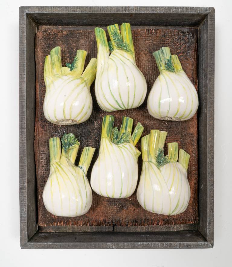 Veg Market Box - Fennel - Diana Tonnison