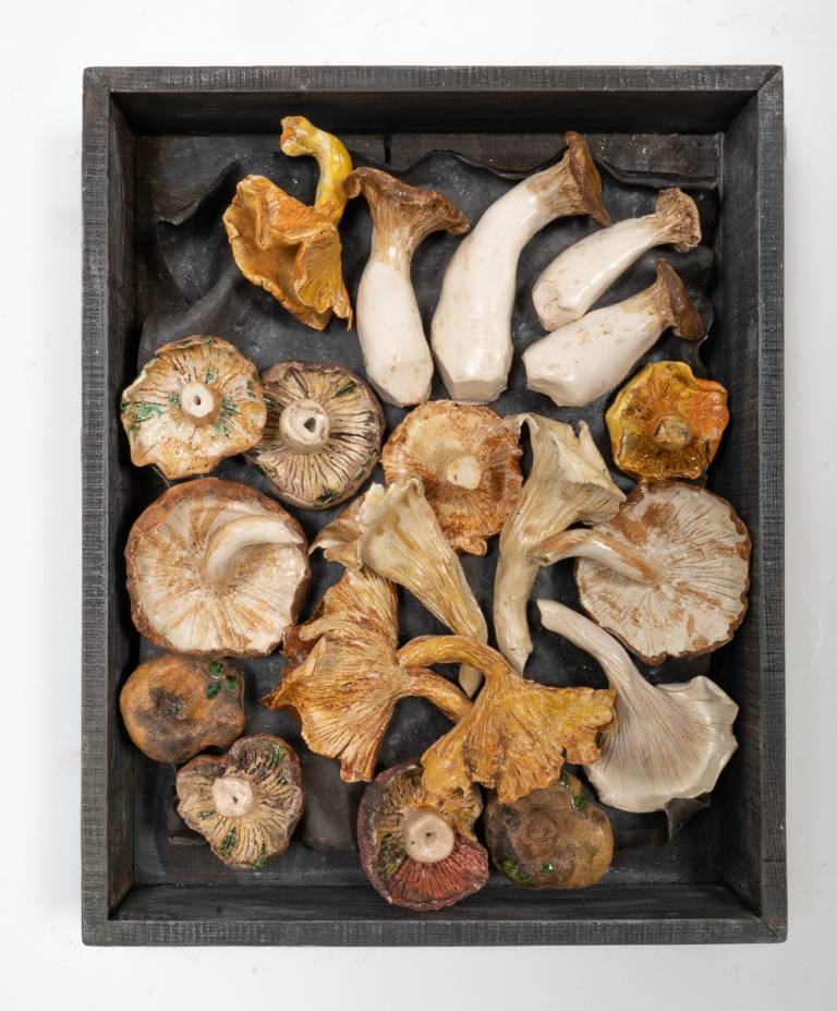 Veg Market Box  -Mushrooms IV - Diana Tonnison