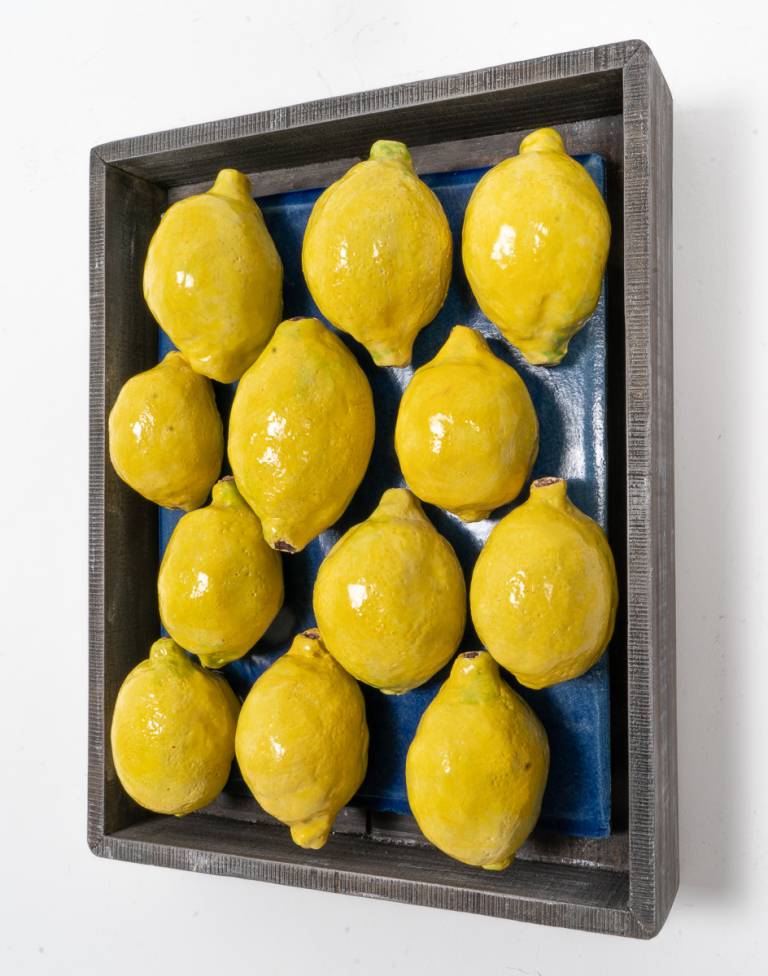 Fruit Market - Lemons V - Diana Tonnison