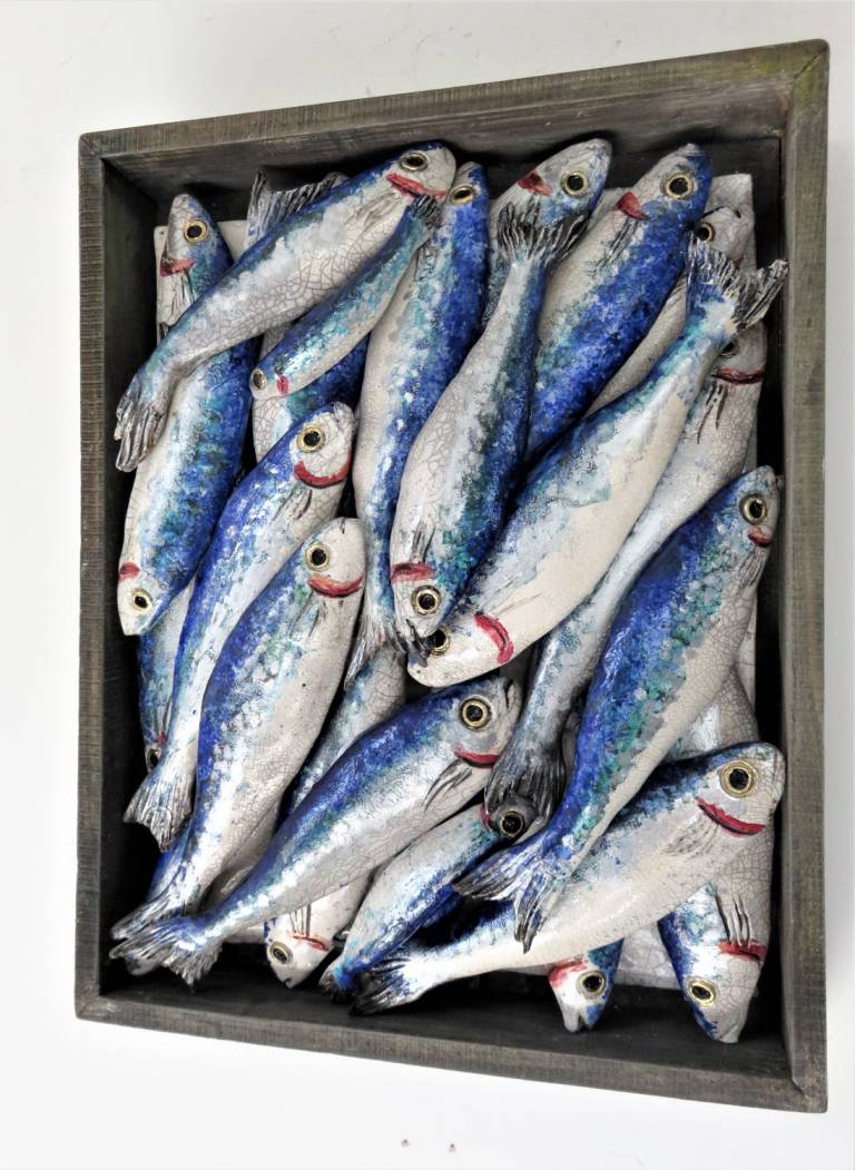 Fish Market Box - Mediterranean Sardines VII - Diana Tonnison