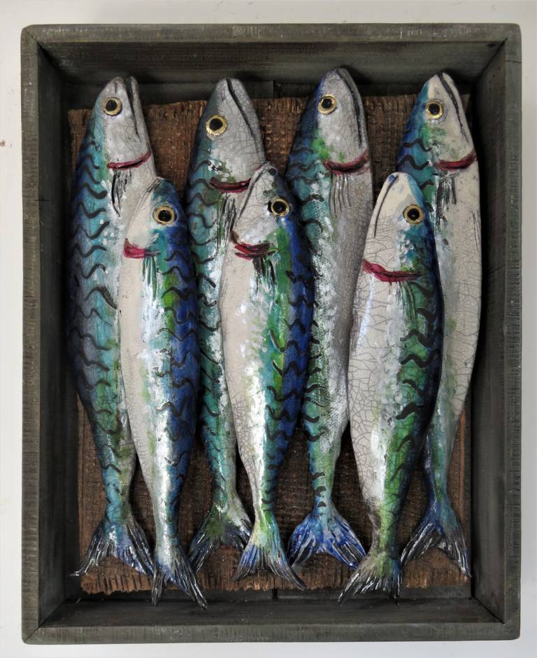 Fish Market Box - Cornish Mackerel XVI - Diana Tonnison