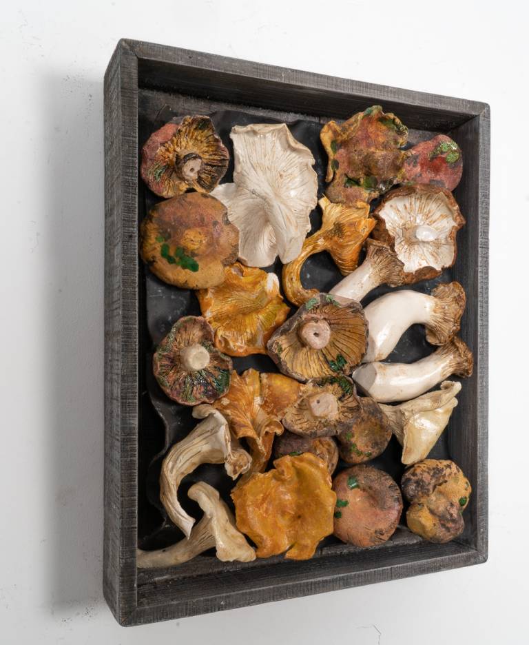 Veg Market Box - Mushrooms III - Diana Tonnison