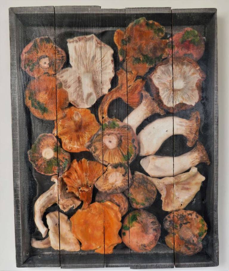 Wood Panel - Wild Mushrooms DTW33 - Diana Tonnison