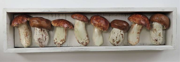The Pantry - Boletus Edilus Mushrooms - Diana Tonnison