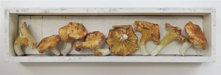 The Pantry - Chanterelle Mushrooms - Diana Tonnison