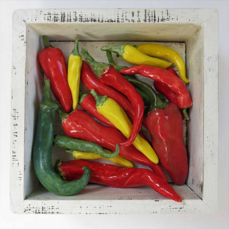 The Pantry - Chillies - Diana Tonnison