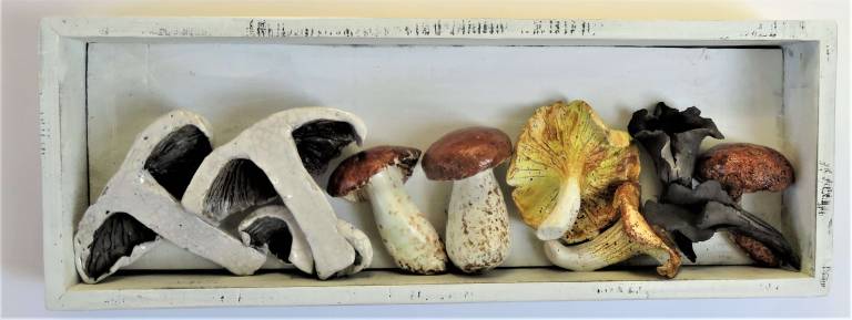 The Pantry - Mushroom Selection - Diana Tonnison