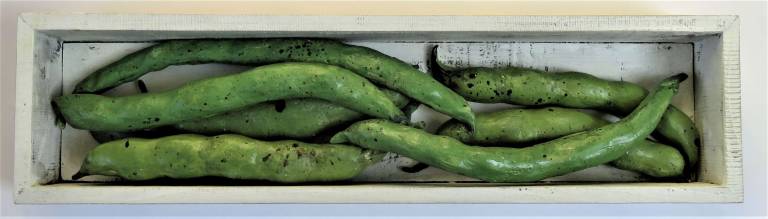 The Pantry -  Broad Beans - Diana Tonnison