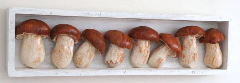 The Pantry - Boletus Edilus Mushrooms II - Diana Tonnison