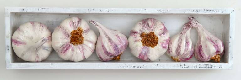 The Pantry - Garlic II - Diana Tonnison