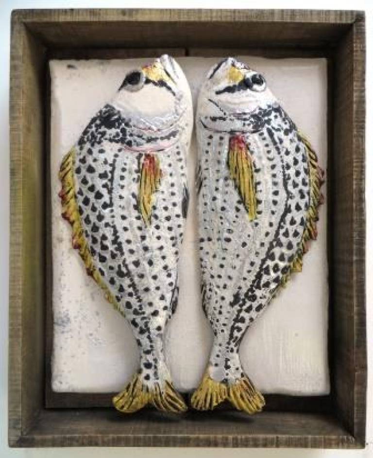 Fish Market Box - Yellowfin Sea Bream - Diana Tonnison