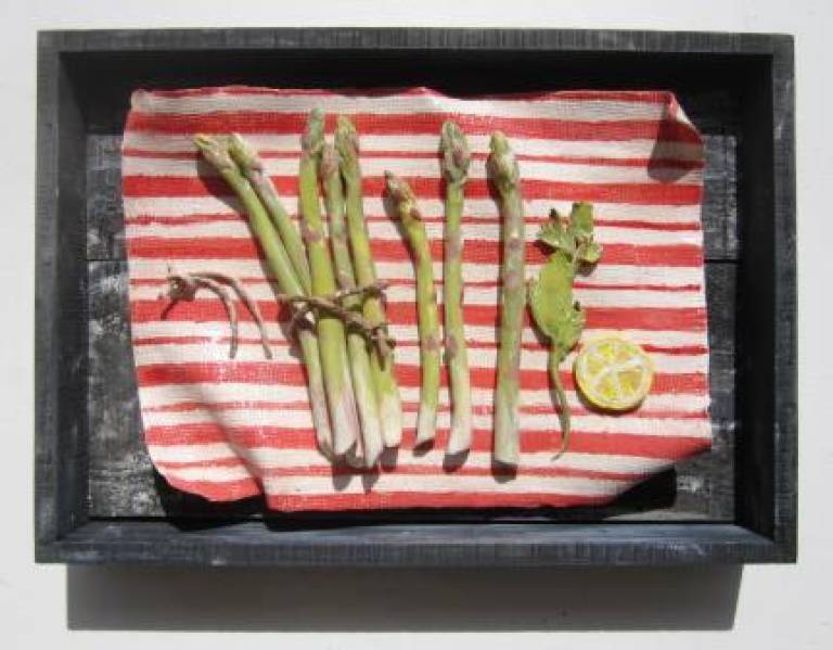 Asparagus on a striped cloth - Diana Tonnison