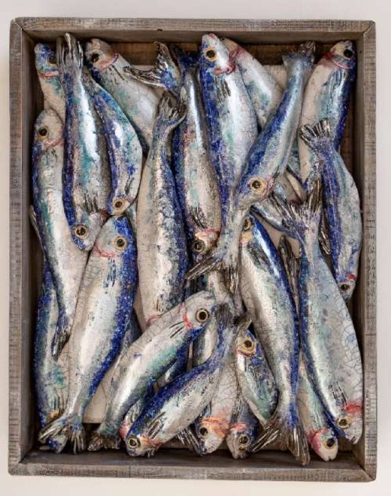 Fish Market Box - Mediterranean Sardines III - Diana Tonnison